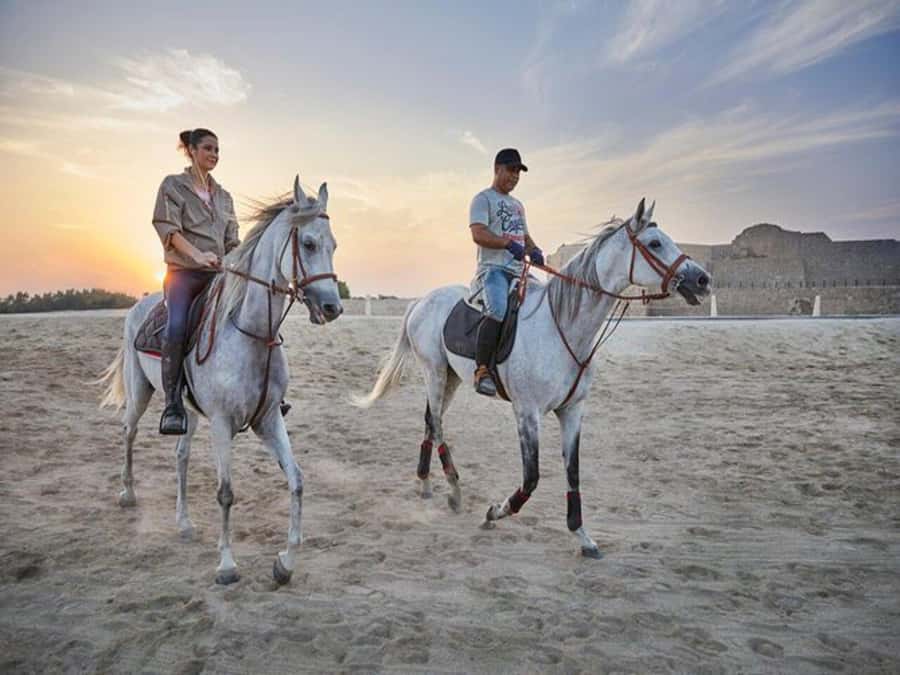 Hurghada: Desert and Sea Horseback Riding Tour with Transfer - Safety training for beginners