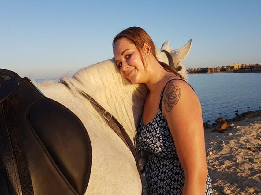 Hurghada: Desert and Sea Horseback Riding Tour with Transfer - Is $50 good value?