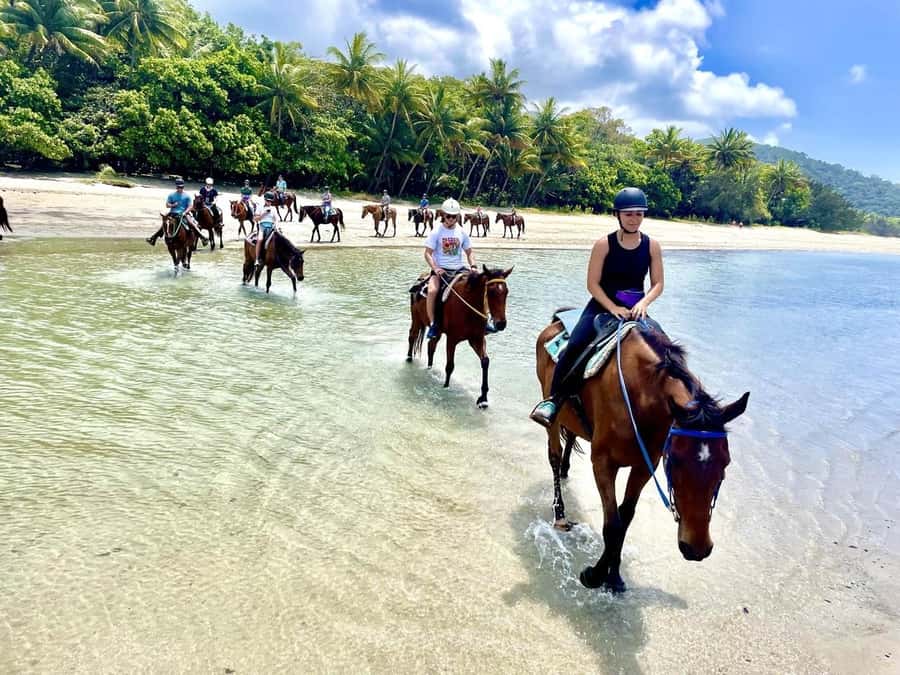Hurghada: Desert and Sea Horseback Riding Tour with Transfer - Meeting the horses at the stable