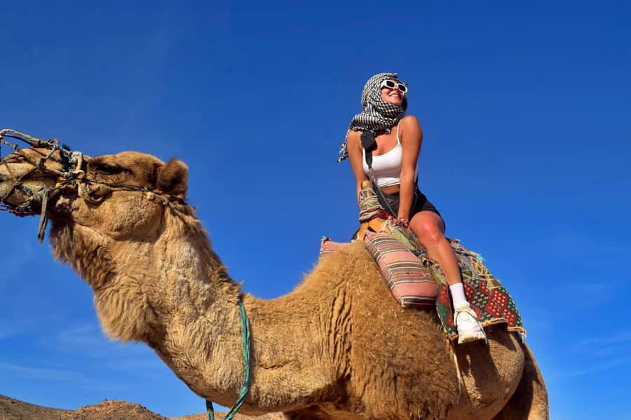 Hurghada: Desert Quad, Bedouin Village, and Camel Ride Tour - Key points to know before booking