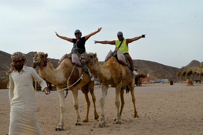 Hurghada Desert Safari on Quad Bikes With Camel for 3 Hours - Tea, local customs, and what you will learn