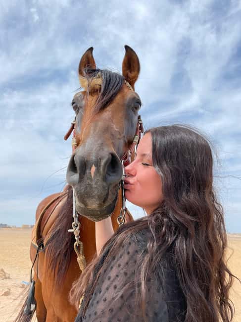 Hurghada: Desert & Sea Horse Riding with + 360° Photos - Who will enjoy this horseback outing?