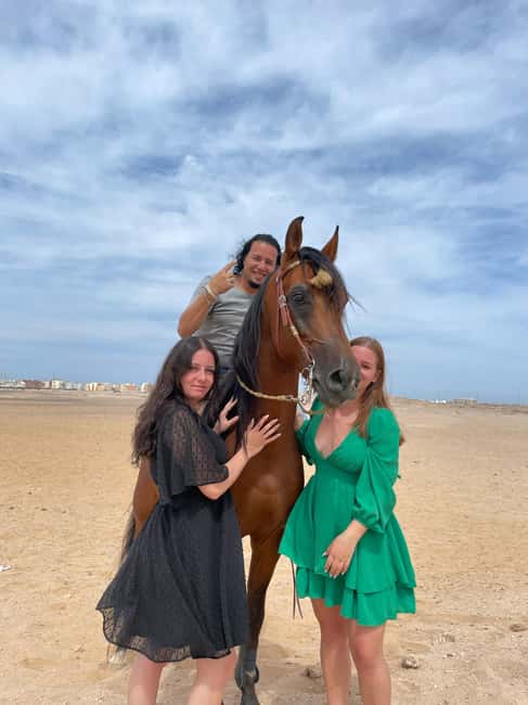 Hurghada: Desert & Sea Horse Riding with + 360° Photos - Meeting the horses at the stable