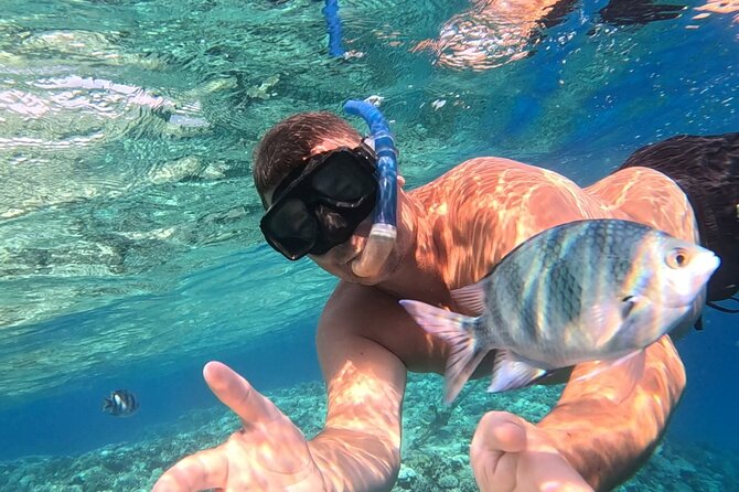 Hurghada Diving Adventure one Day with two Dives Boat Trip - What the $26.17 price really covers