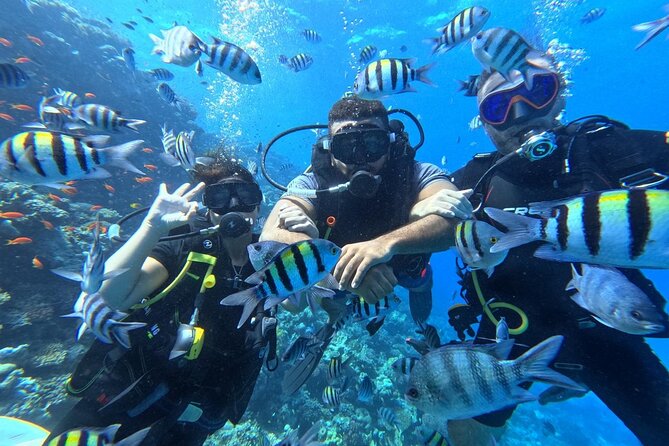 Hurghada Diving Adventure one Day with two Dives Boat Trip - The boat ride and first underwater session