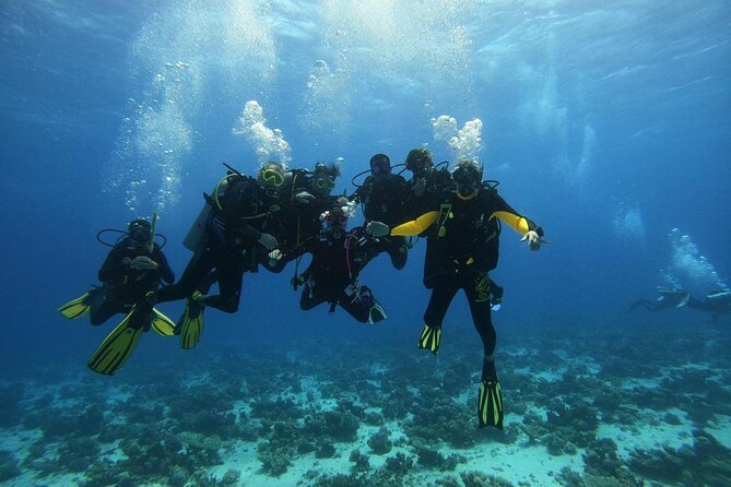 Hurghada Diving Adventure one Day with two Dives Boat Trip - The surface interval, lunch, and second session