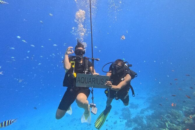 Hurghada Diving Adventure one Day with two Dives Boat Trip - How the guides affect the day