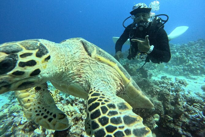 Hurghada Diving Adventure one Day with two Dives Boat Trip - Equipment: the detail you must clarify