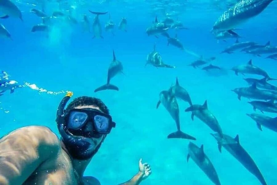 Hurghada: Dolphin & Coral Reef Snorkeling Tour with Lunch - Setting Sail From Hurghada
