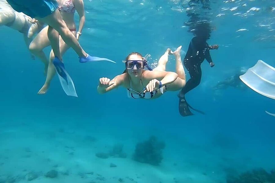 Hurghada: Dolphin Cruise with Snorkeling & Buffet Lunch - Two coral reef snorkeling stops