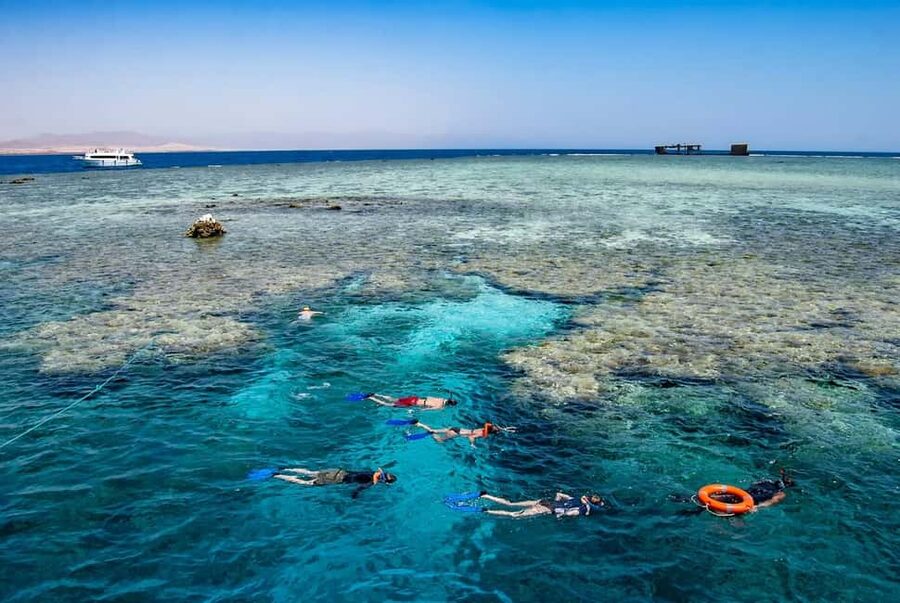 Hurghada: Dolphin Watching Boat Tour with Snorkeling & Lunch - Why the guides matter so much