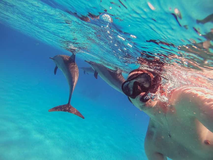 Hurghada: Dolphin Watching Boat Tour with Snorkeling & Lunch - Searching for dolphins on the Red Sea