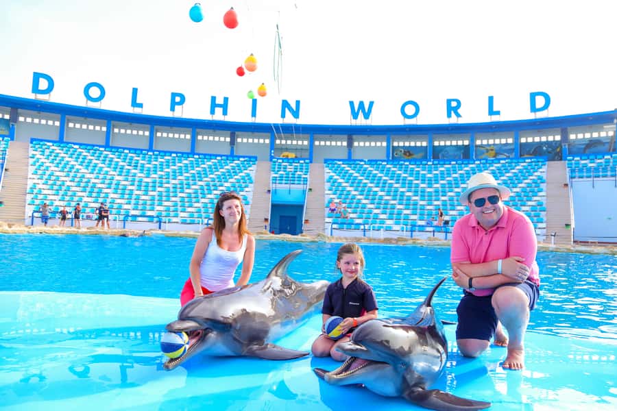 Hurghada: Dolphin World Show with Walruses and Pickup - What the Dolphin World morning is really like
