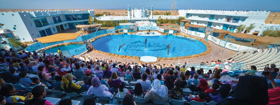 Hurghada: Dolphin World Show with Walruses and Pickup - Getting inside and finding your seat