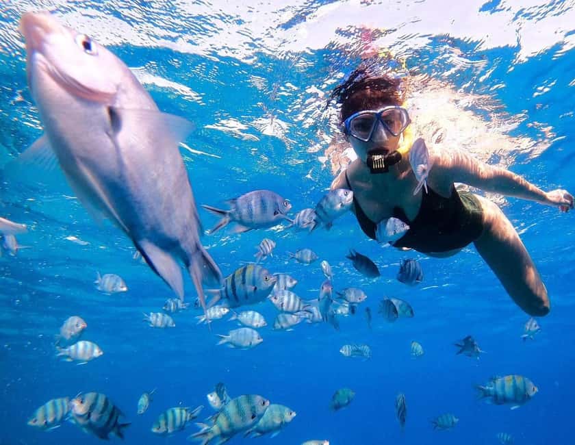 Hurghada:Eden Island Full-Day Trip with Water sports & Lunch - Snorkeling the Red Sea Reefs