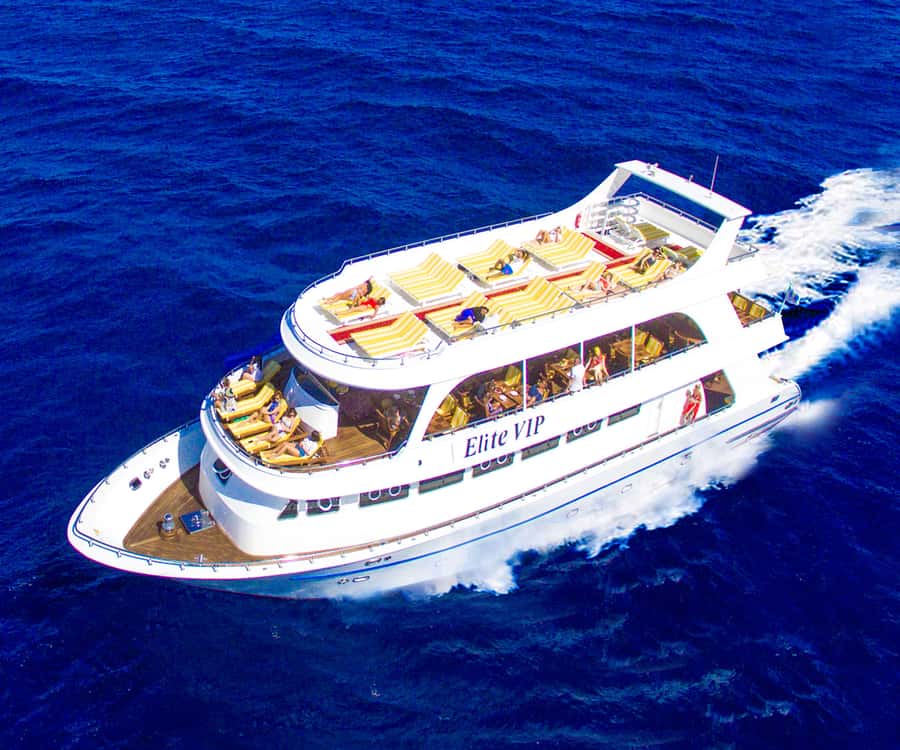 Hurghada: Elite vip snorkeling cruise with BBQ buffet lunch - Looking for Dolphins in Northern Red Sea Waters