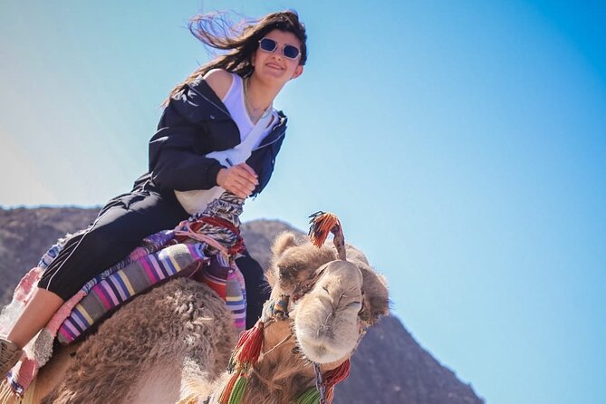Hurghada Full Day Desert Tour - What the six-and-a-half-hour Hurghada outing is really like