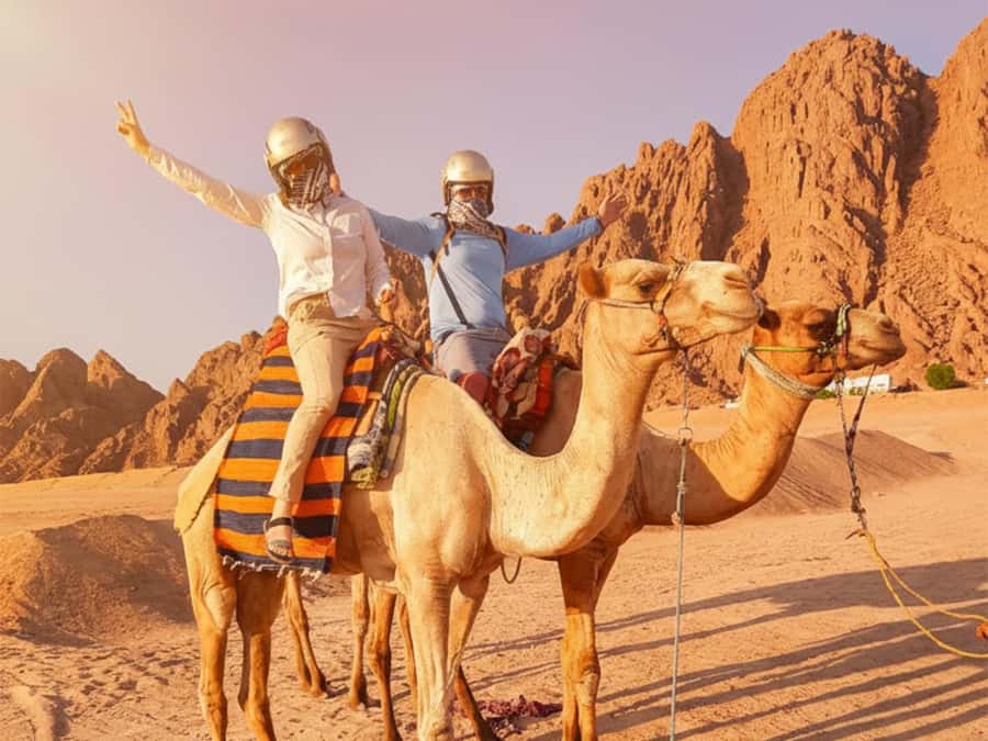 Hurghada: Full-Day Quad & Camel Ride, Stargazing, & Dinner - Hotel pickup, resort transfers, and arrival