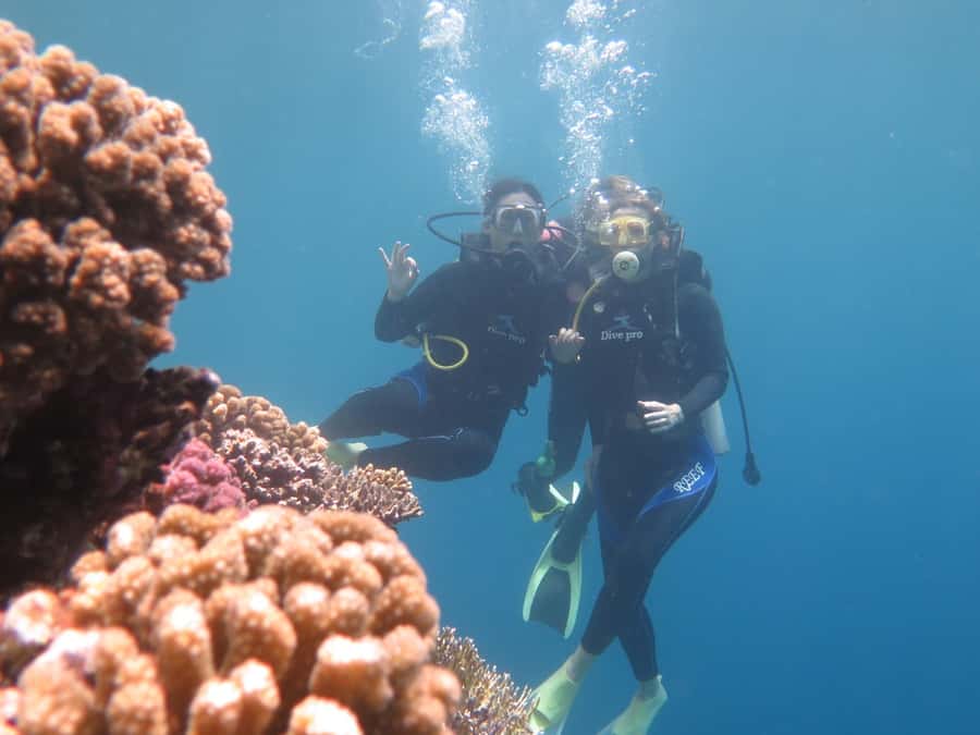 Hurghada: Full-Day Scuba Diving Tour with 2 Sites and Lunch - Key points at a glance