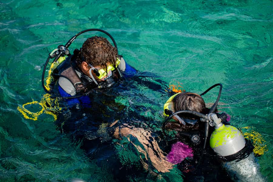 Hurghada: Full-Day Scuba Diving Tour with 2 Sites and Lunch - Private bookings and families