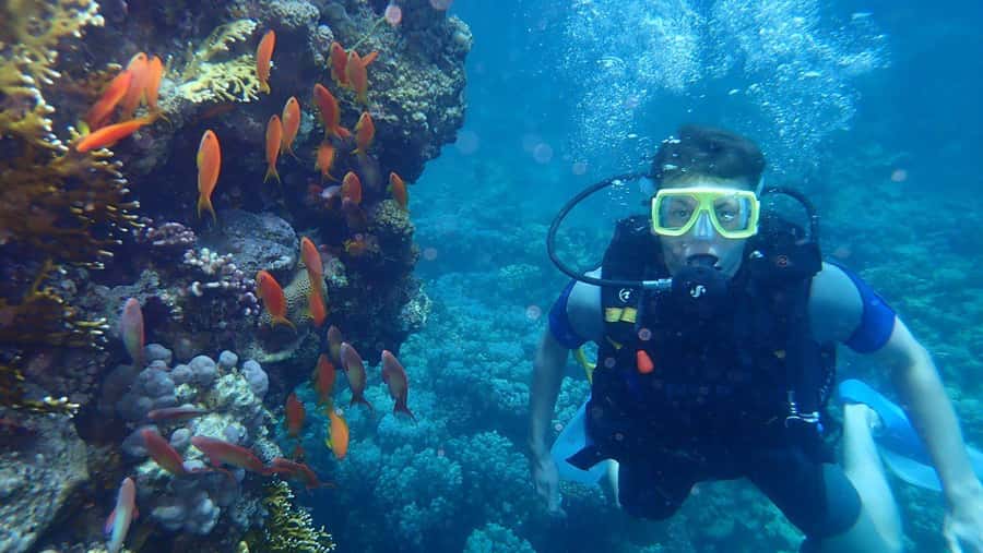 Hurghada: Full-Day Scuba Diving Tour with 2 Sites and Lunch - A second chance to relax and enjoy the water