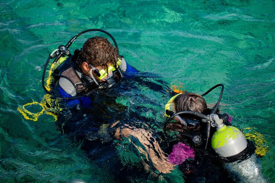 Hurghada: Full-Day Scuba Diving Tour with 2 Sites and Lunch - Lunch on board is simple, useful, and welcome