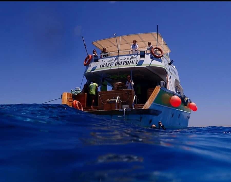 Hurghada: Full-Day Scuba Diving Tour with 2 Sites and Lunch - What certified divers should know