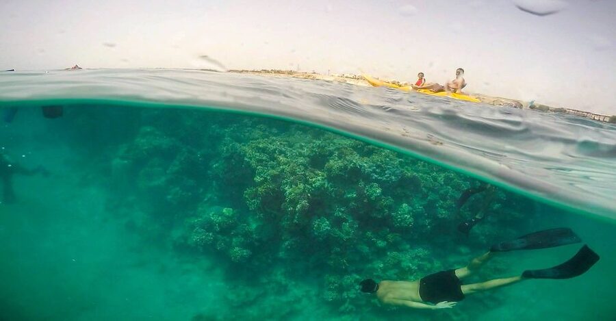 Hurghada: Full-Day Snorkeling Tour in Sharm El Naga w/Lunch - Key points to know before booking