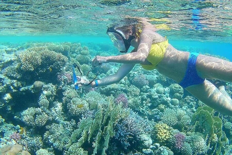 Hurghada: Full-Day Snorkeling Tour in Sharm El Naga w/Lunch - What the $75 price really includes