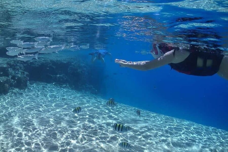 Hurghada: Full-Day Snorkeling Tour in Sharm El Naga w/Lunch - Who will enjoy this day most