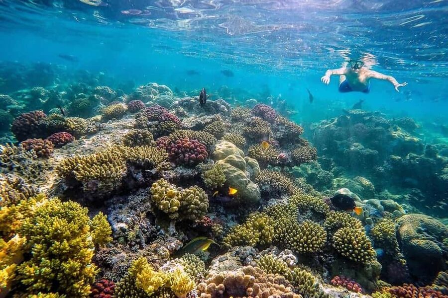 Hurghada: Full-Day Snorkeling Tour in Sharm El Naga w/Lunch - What to pack for Sharm El Naga
