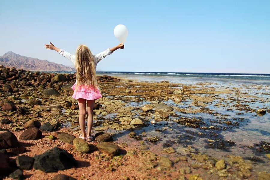 Hurghada: Full-Day Snorkeling Tour in Sharm El Naga w/Lunch - The final ride back to Hurghada