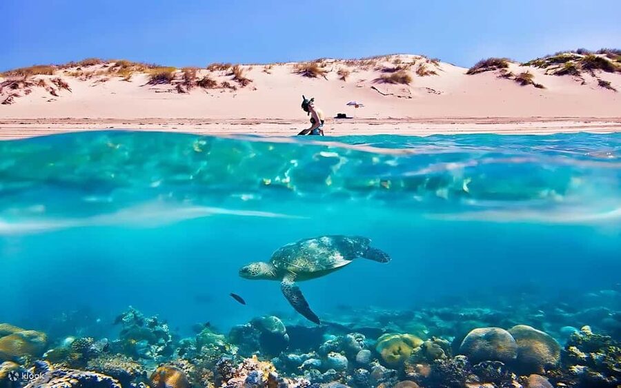 Hurghada: Giftun Island with breakfast, lunch & Water Sports - Morning pickup and the ride to Public Beach Number 9