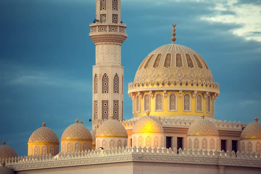 Hurghada: Guided City Highlights Tour with Shopping Stops - Who should book this Hurghada tour?