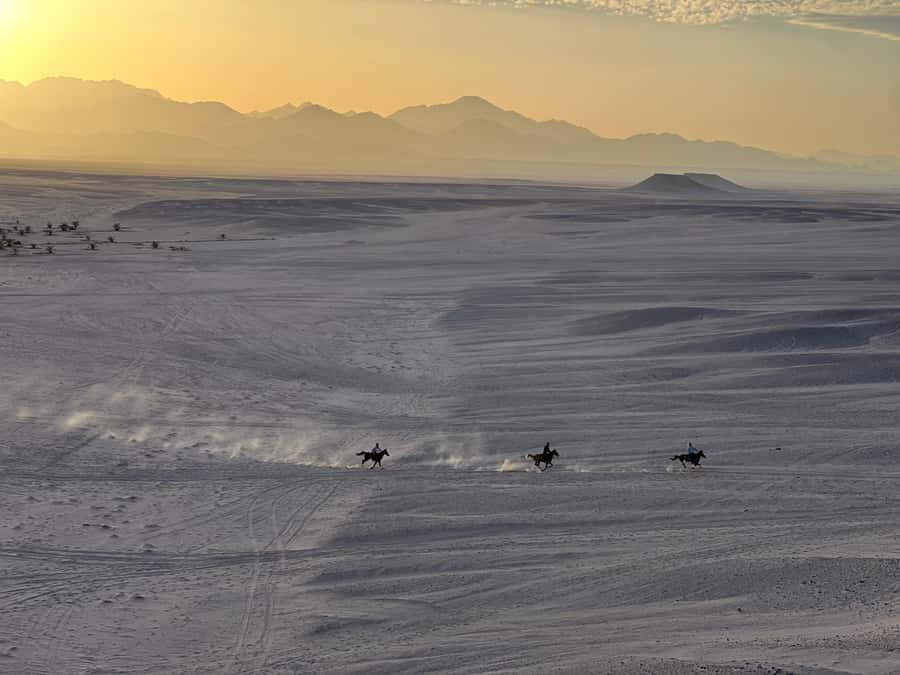 Hurghada: Horse Ride, BBQ Dinner, and Stargazing - One hour on horseback through desert valleys