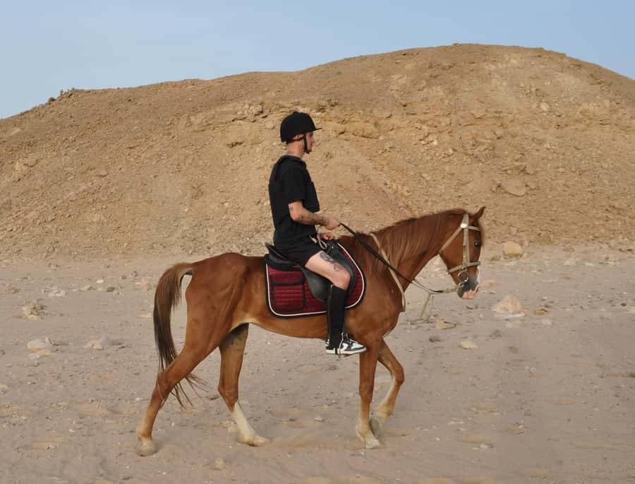 Hurghada: Horse Ride, BBQ Dinner, and Stargazing - Who will enjoy this evening most?