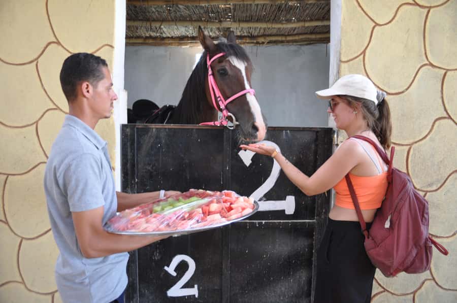 Hurghada: Horse Ride, BBQ Dinner, and Stargazing - Should you book the Hurghada horse ride?