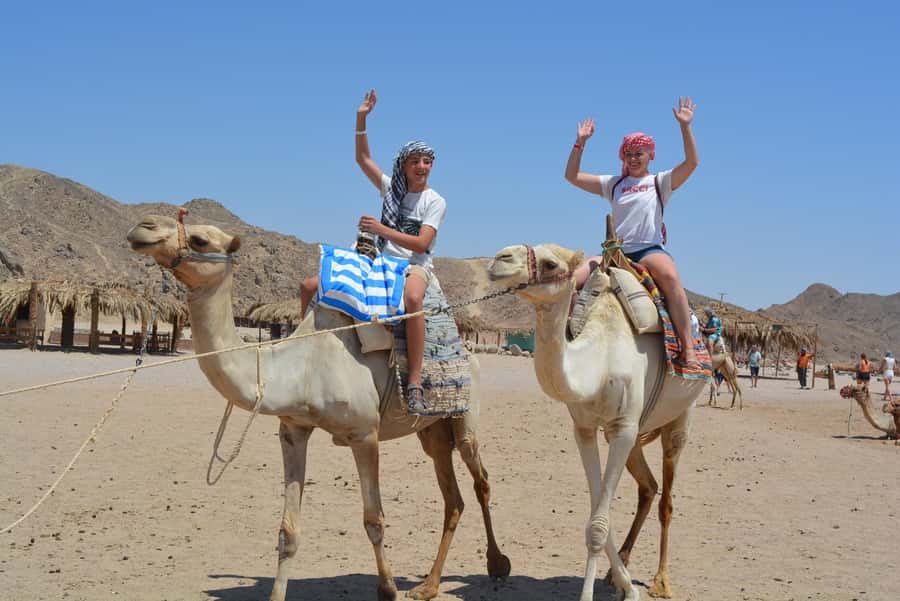 Hurghada: Jeep Safari with Camel Ride, Dinner and Show - The camel ride: a short taste of desert travel
