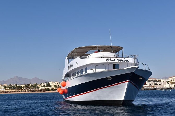 Hurghada: Luxury Cruise to Orange Bay & Hula Hula Island. - Guides who make the difference