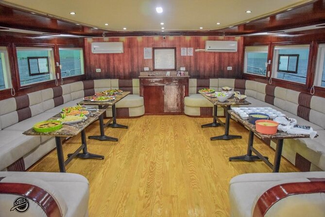 Hurghada: Luxury Cruise to Orange Bay & Hula Hula Island. - Dolphin House: wildlife without a performance