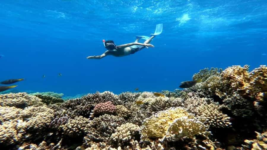 Hurghada: Luxury Cruise Trip to Orange Bay with Lunch - What the Boat and Crew Do Well