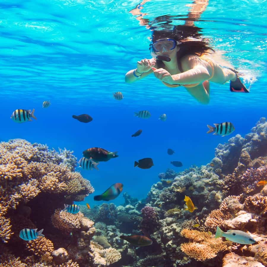 Hurghada:Luxury Diving & Snorkeling inc/Island/Lunch/Massage - Five things to know before you book