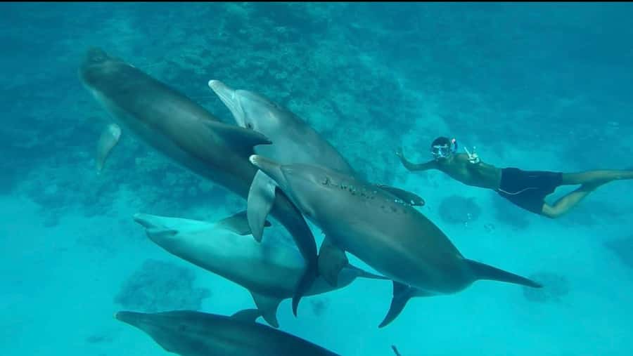 Hurghada: Luxury Yacht Trip with Personal Crew and Chef - Families, first-time snorkelers, and accessibility