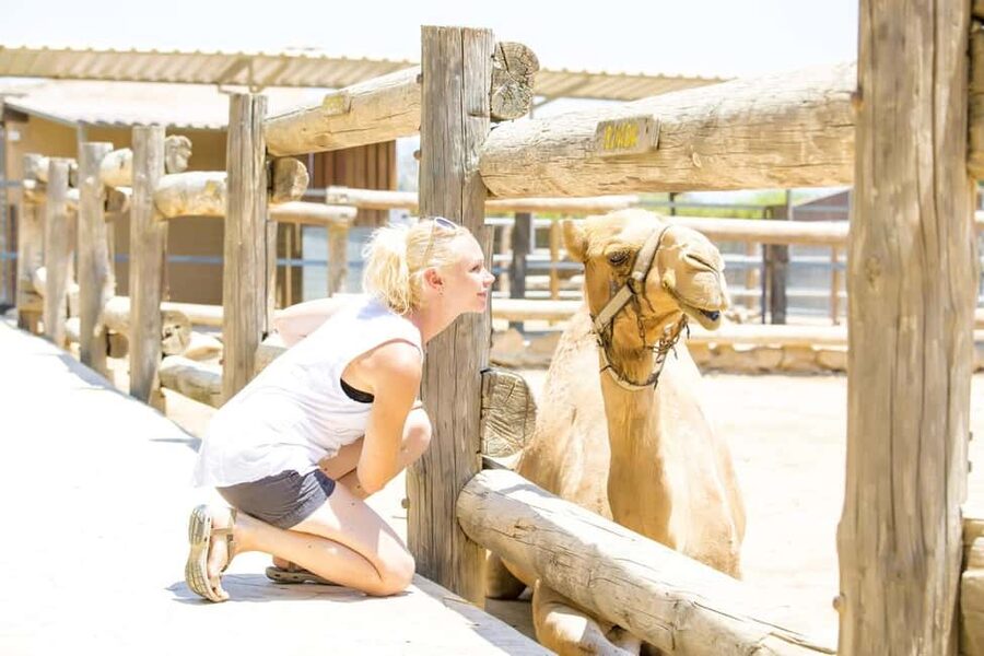 Hurghada: Mega Jeep safari, ATV & Bedouin vibe, and Dinner - Visiting the Bedouin camp