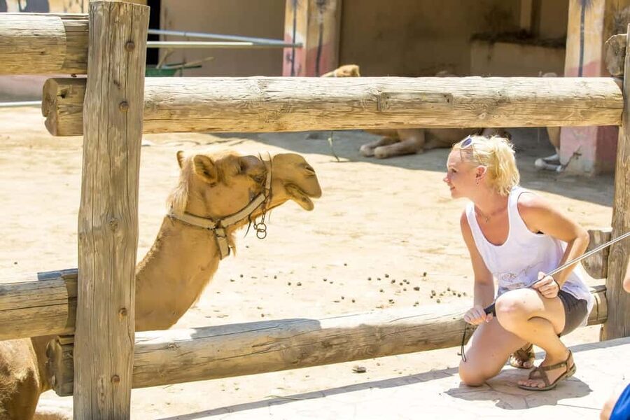 Hurghada: Mega Jeep safari, ATV & Bedouin vibe, and Dinner - Waiting time, heat, and the group-tour tradeoff