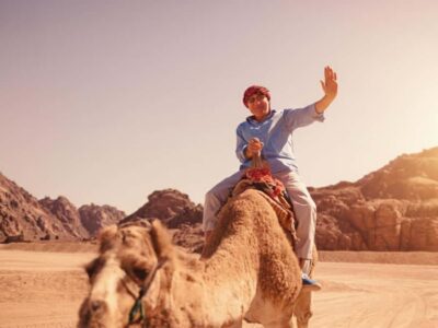 Morning Quad Bike Tour, Camel Ride and Transfer