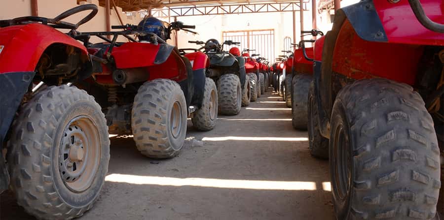 Hurghada: Morning Quad Bike Tour, Camel Ride and Transfer - The camel ride: a photo stop with four legs