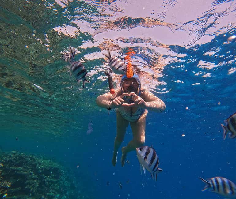 Hurghada or Makadi: Discover the Magic of Dolphin House - Lunch, fruit, and drinks on board