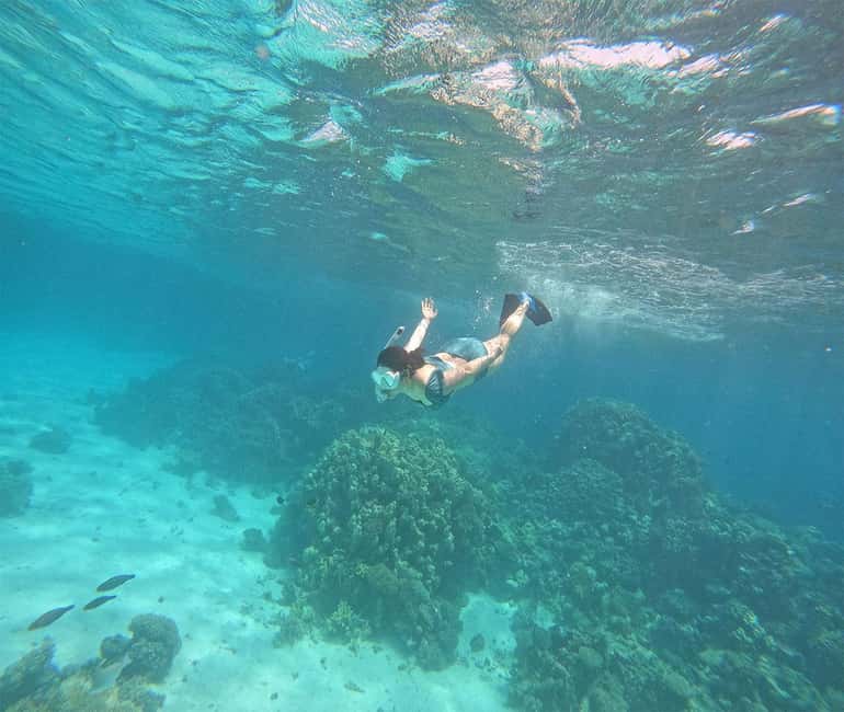 Hurghada or Makadi: Discover the Magic of Dolphin House - Sofa boat rides, music, and jumping from the deck