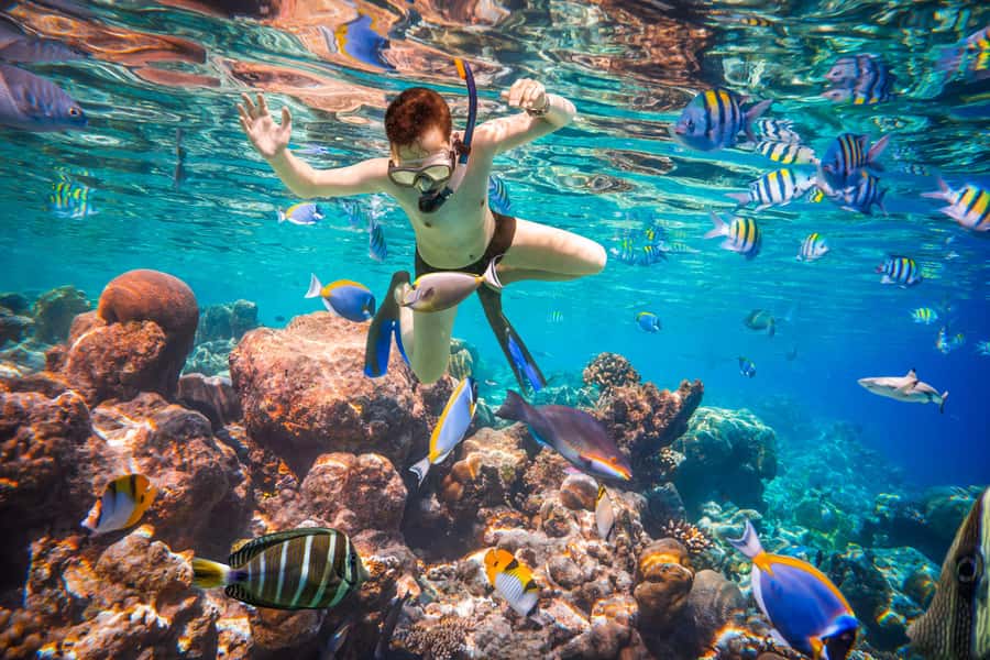 Hurghada: Orange Bay Island Boat Trip w/ Breakfast and Lunch - Two snorkeling stops on the Red Sea